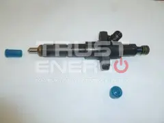 Форсунка для Y4100 Q (Fuel injector for Y 4100 Q,Y4100Q-10300)